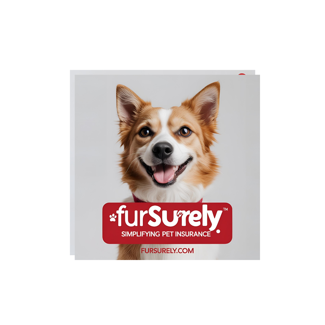 Pet Insurance Basics FurSurely Pet Insurance Made Simple pet-insurance-basics-fursurely-pet-insurance-made-simple