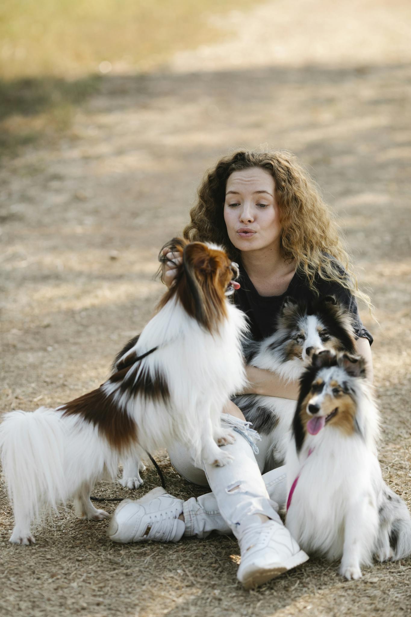 Woman with curly hair enjoying time with fluffy dogs in a sunny park.