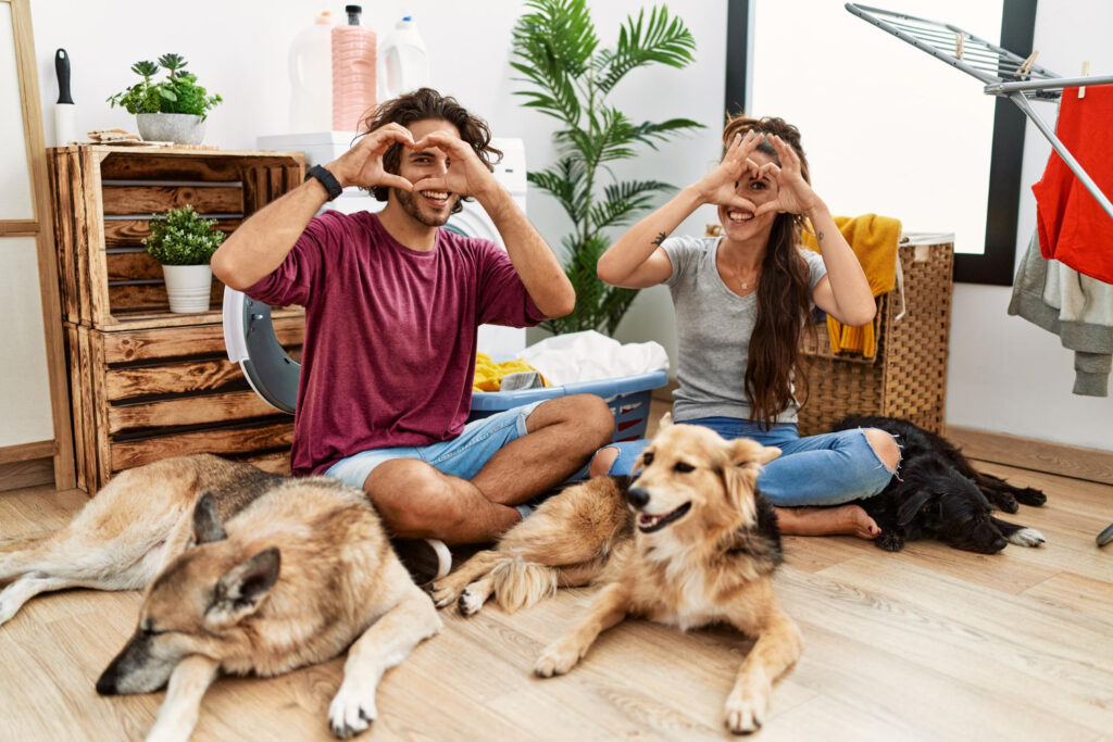 A comparison chart showing cost of insuring one dog vs two dogs – “Monthly cost of pet insurance for 2 dogs”