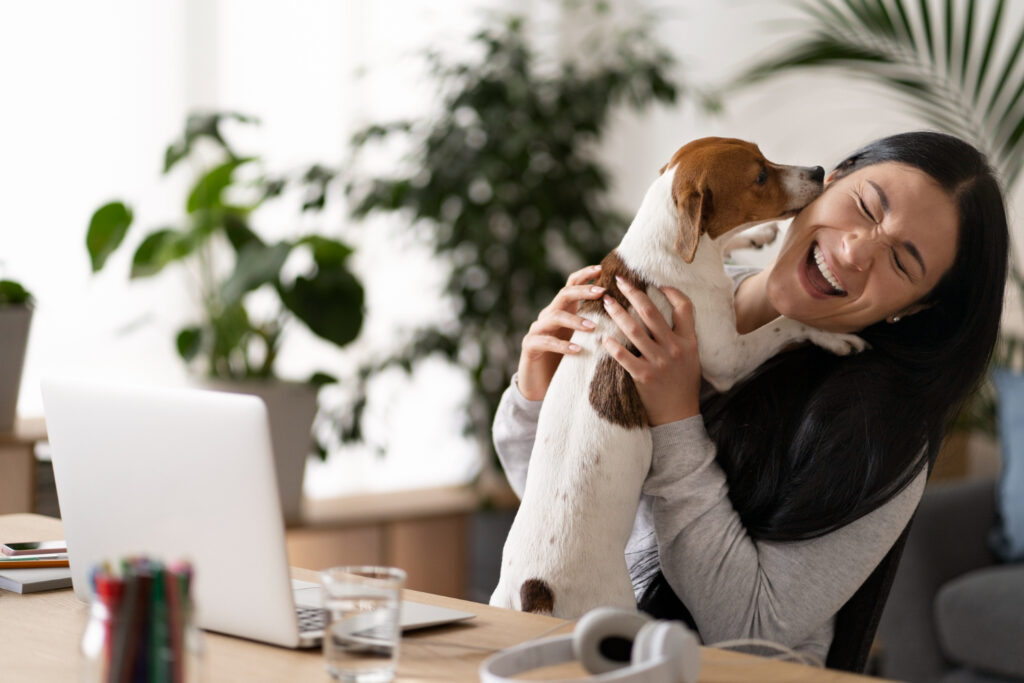 Veterinary bill showing emergency surgery costs

