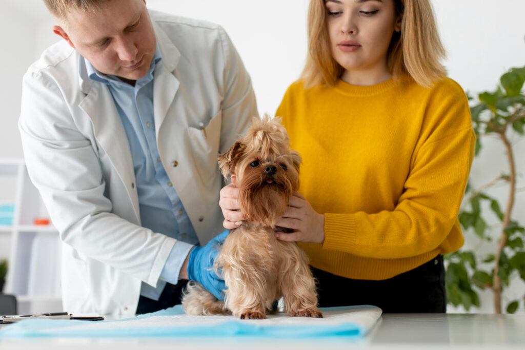Global pet parents comparing pet insurance plans