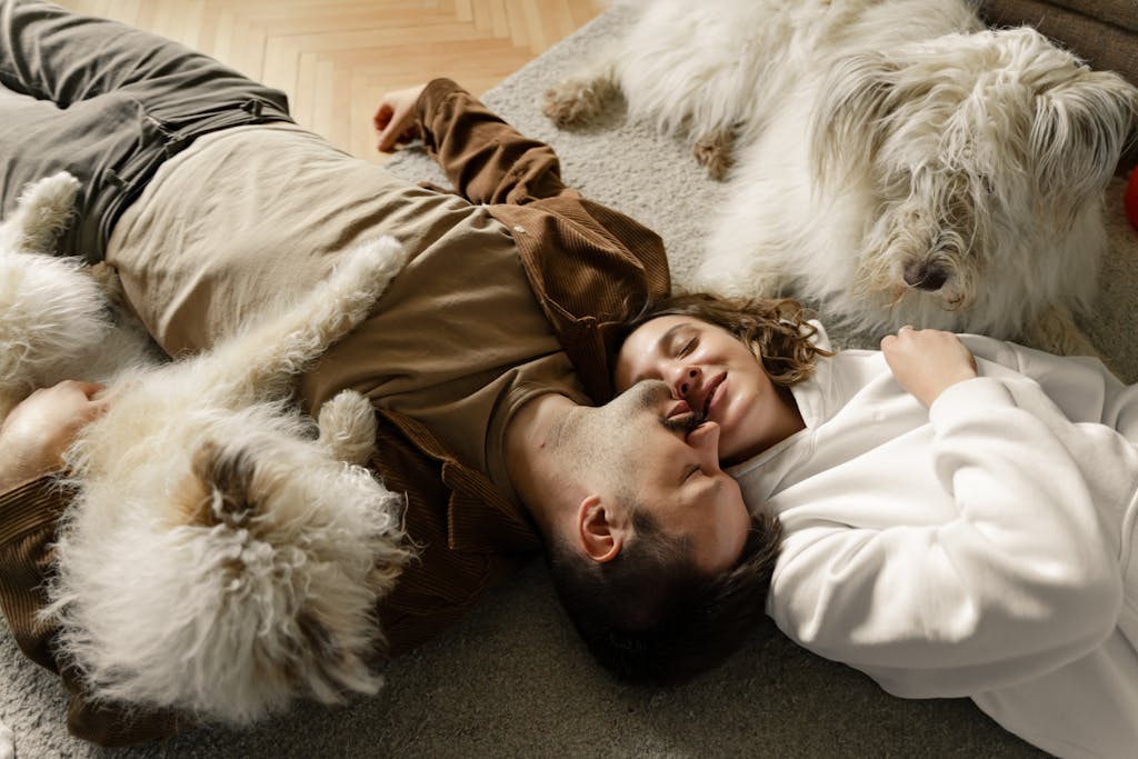 "Dog owner reviewing pet insurance plans with a vet in 2025