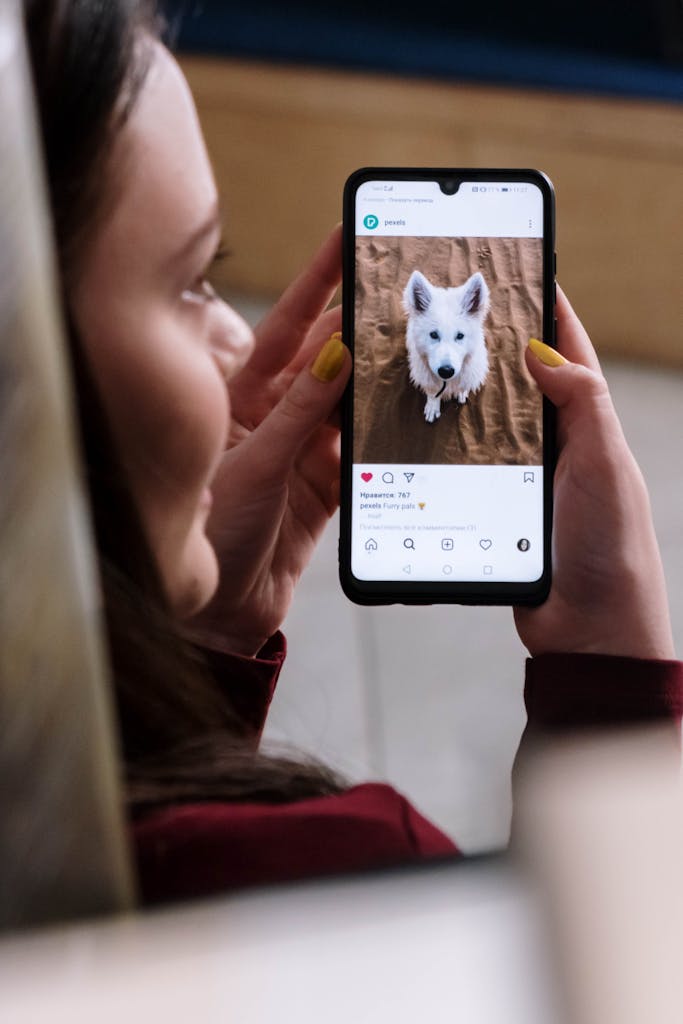 "Pet insurance app used by millennial pet owner"