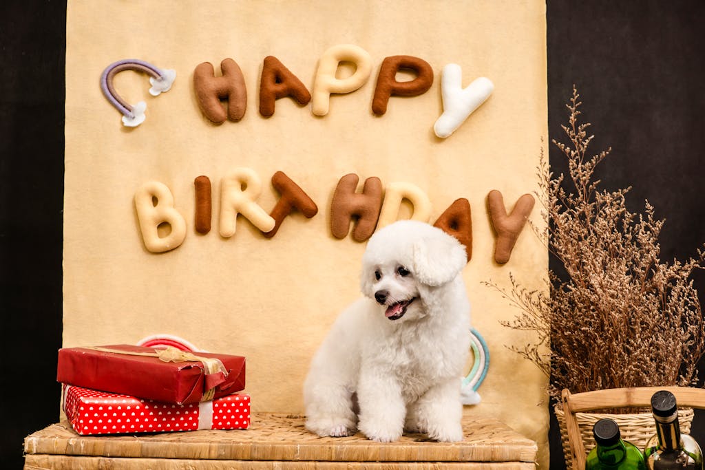 "Pet parent celebrating dog’s birthday with cake — humanization trend"