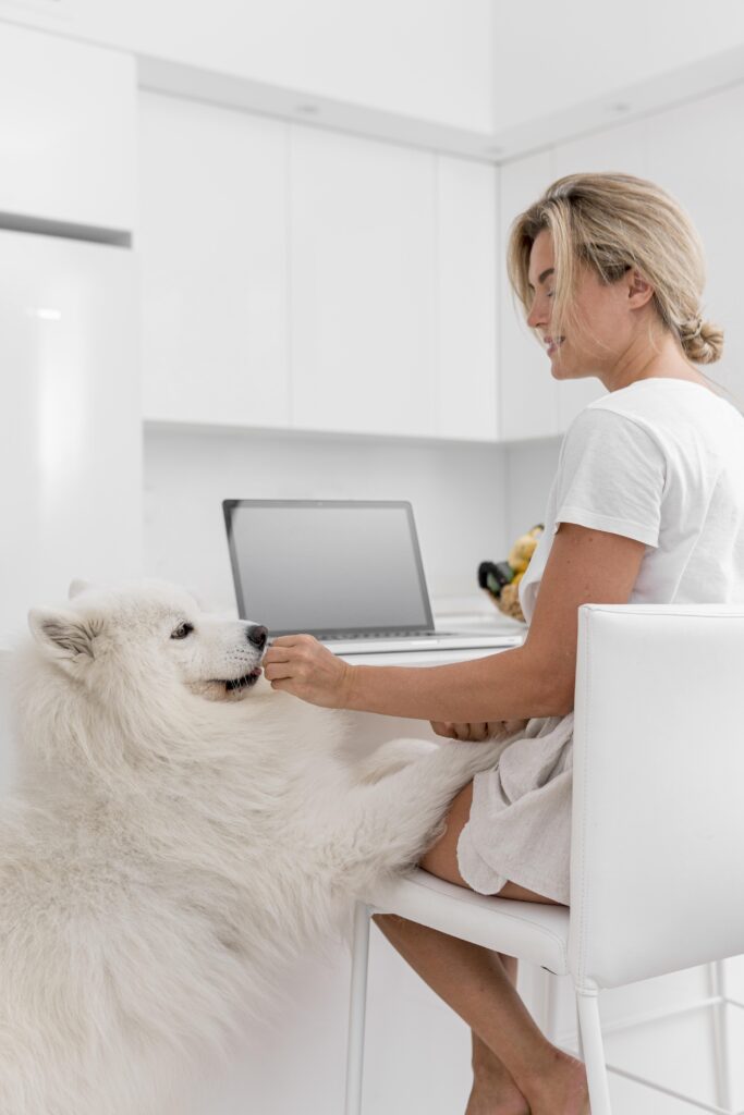 Happy dog sitting on a vet examination table with owner, symbolizing pet insurance coverage in 2025