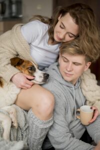 Two different dog breeds (e.g., Golden Retriever and French Bulldog) lying on a couch – “Different breed coverage under pet insurance”