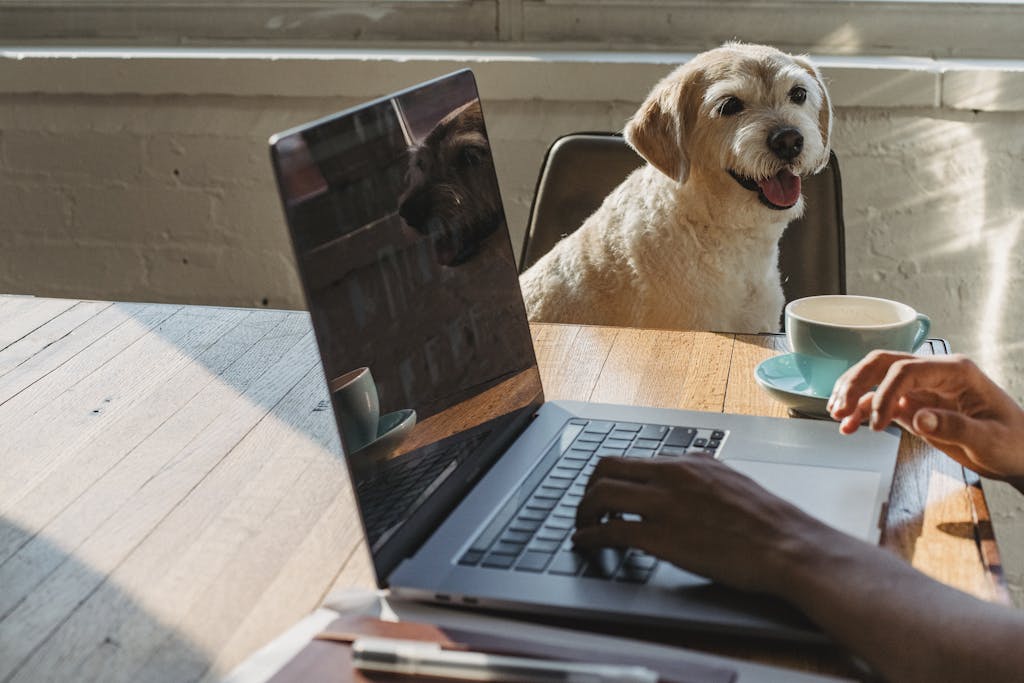 "Dog owner reviewing pet insurance plans with a vet in 2025"