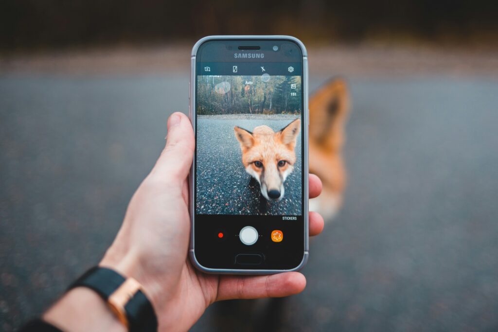 “Pet owner using telehealth vet app on phone at home”

