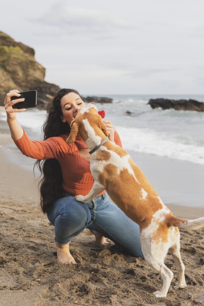 Golden Retriever at a sunny California beach