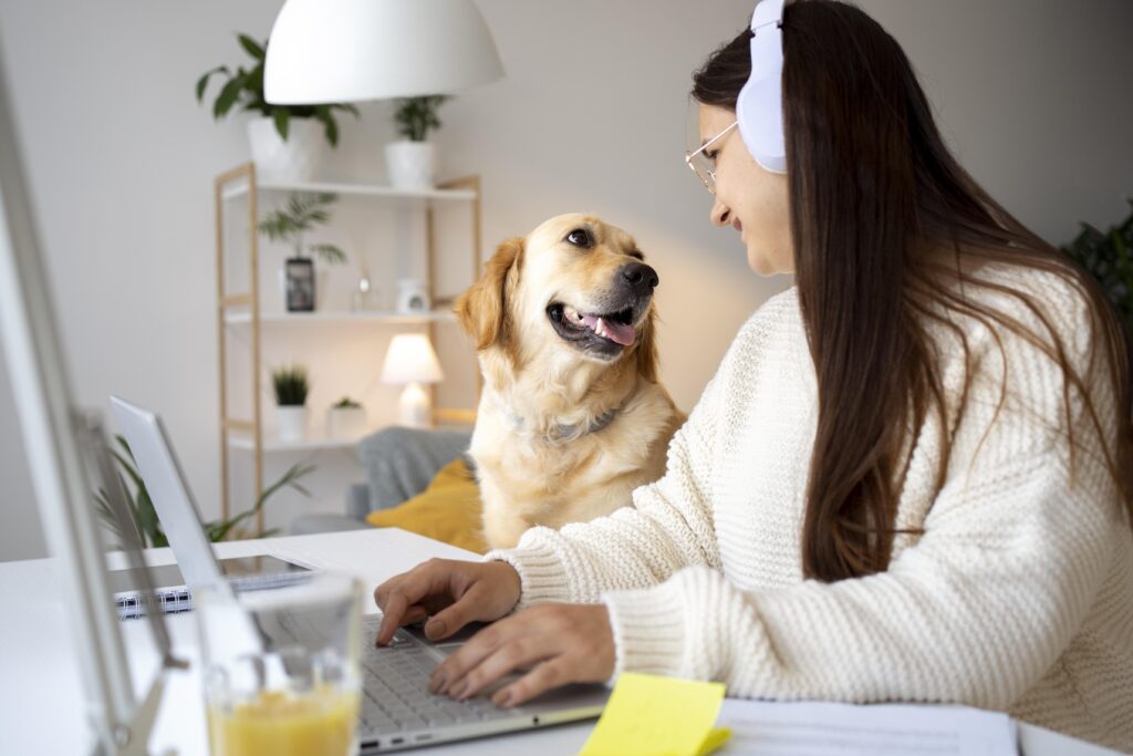 Vet bill being reimbursed