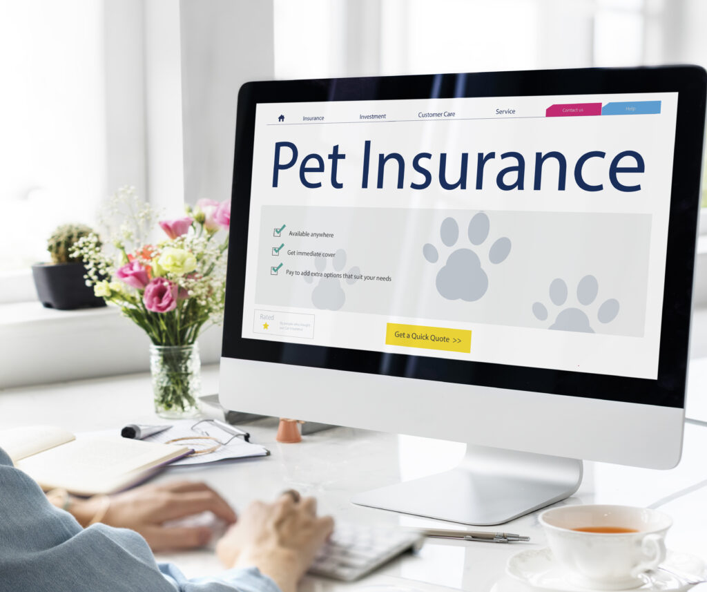 Chart comparing pet insurers that cover pre‑existing conditions in 2025