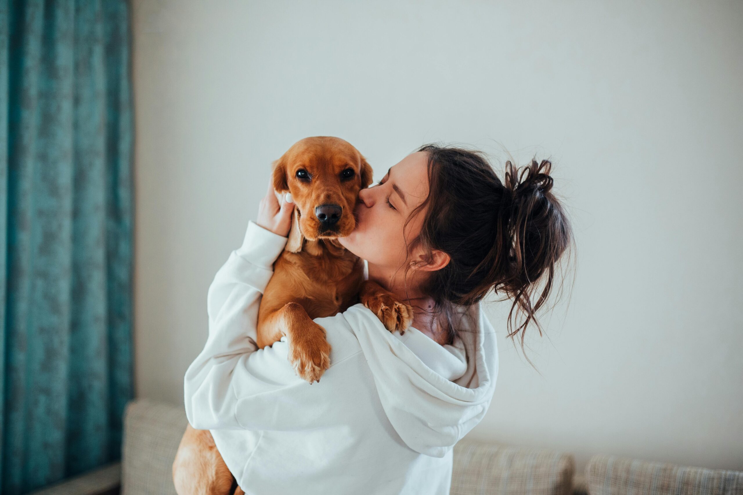 Veterinarian examining a healthy insured dog"