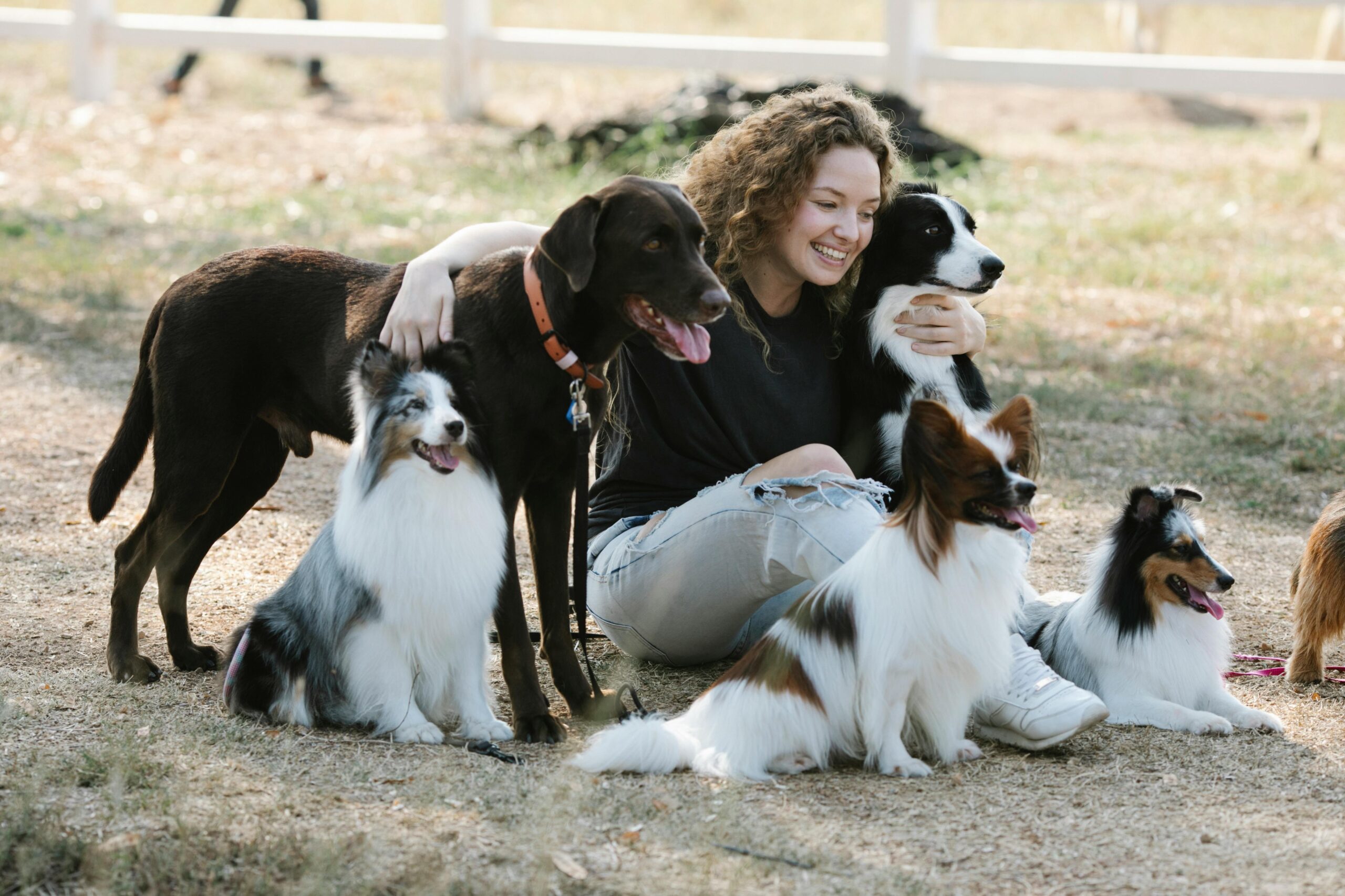 Happy dog with owner, representing pet insurance protection"



