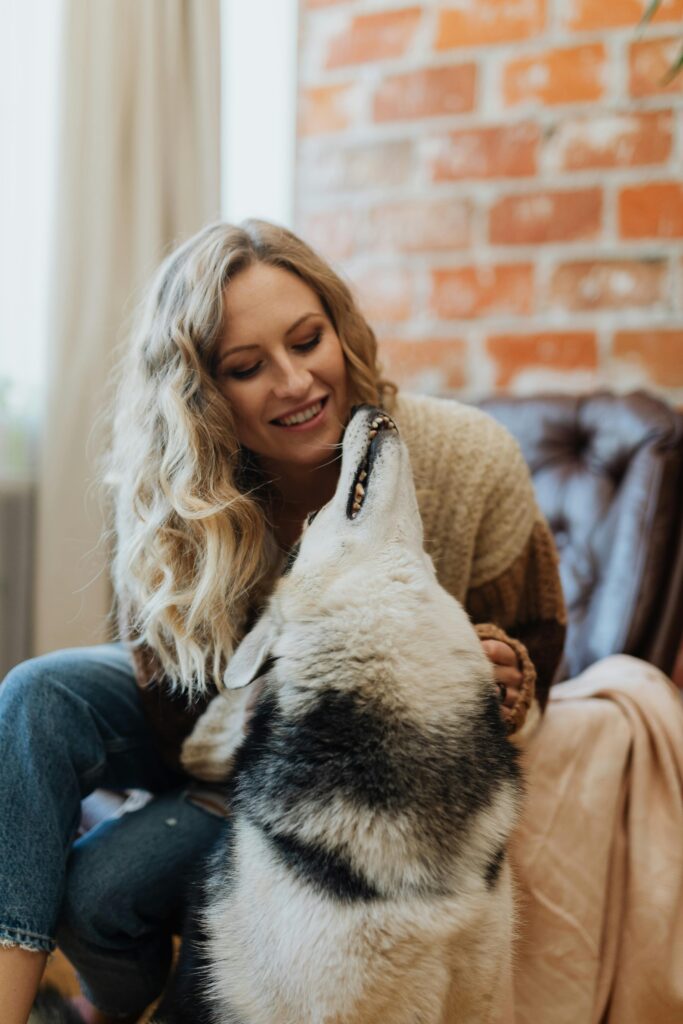 Dog during checkup – how to get a pet insurance quote online
