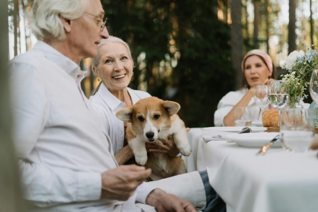 table comparing pet insurance companies for senior dogs