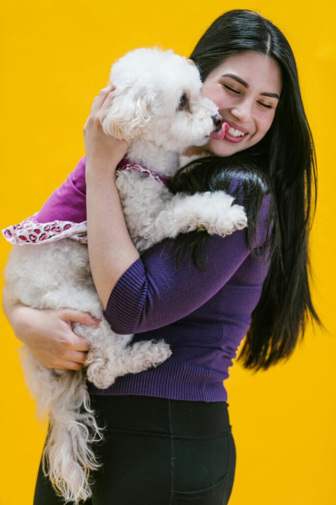 pexels-photo-7516815-7516815 Cheerful woman hugging her fluffy white dog in front of a vibrant yellow backdrop.