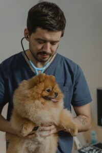 “Worried pet parent with a sick dog at vet—pet insurance for pre‑existing conditions 2025”