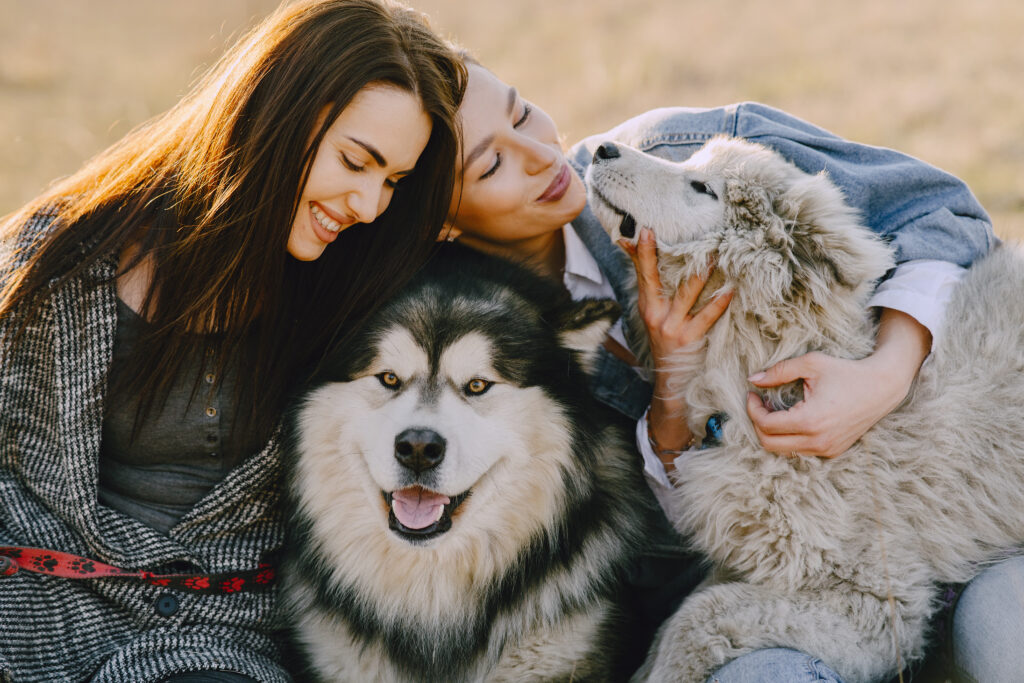 "Multi pet insurance discount comparison chart 2025