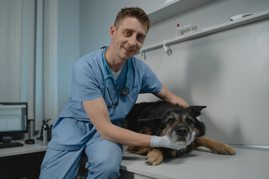 “Happy dog health checkup