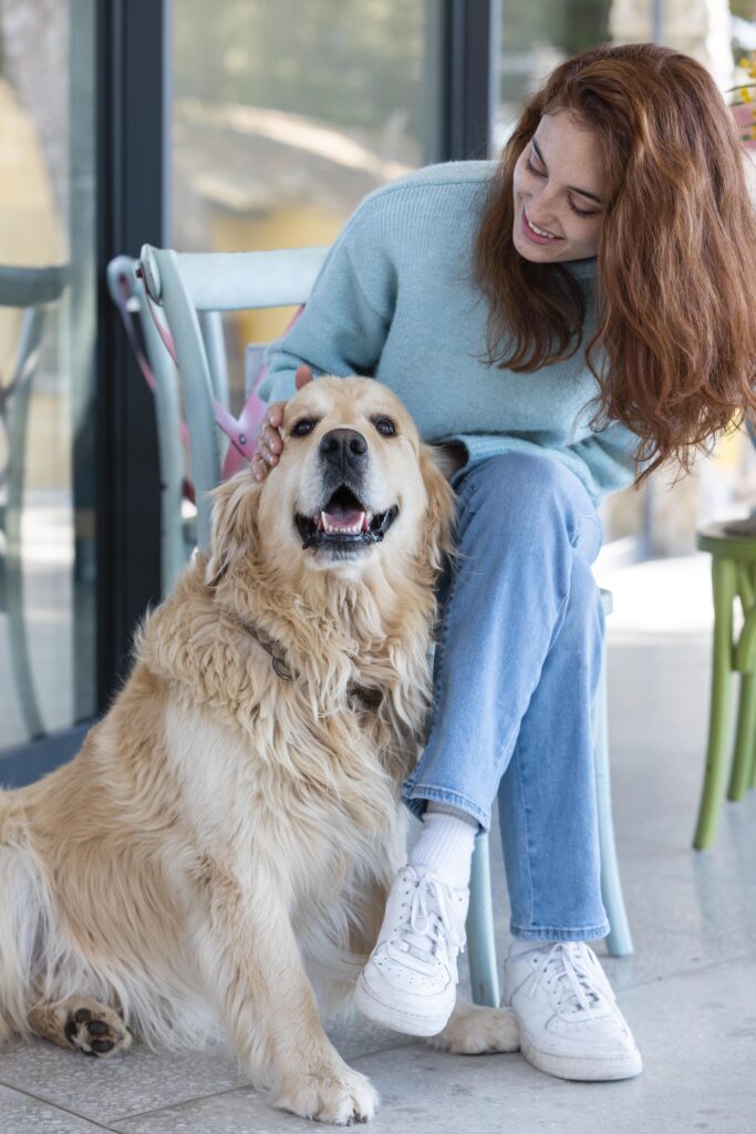 Dog at the vet getting treatment covered by insurance