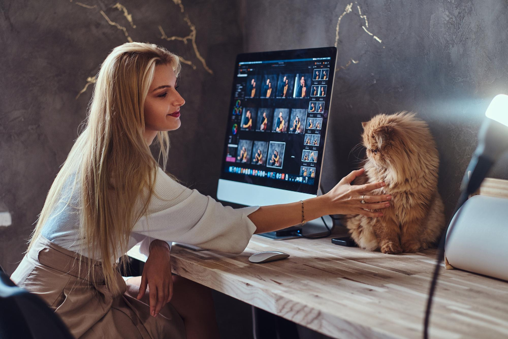 "Lemonade AI-first pet insurance chatbot customer service interface"

