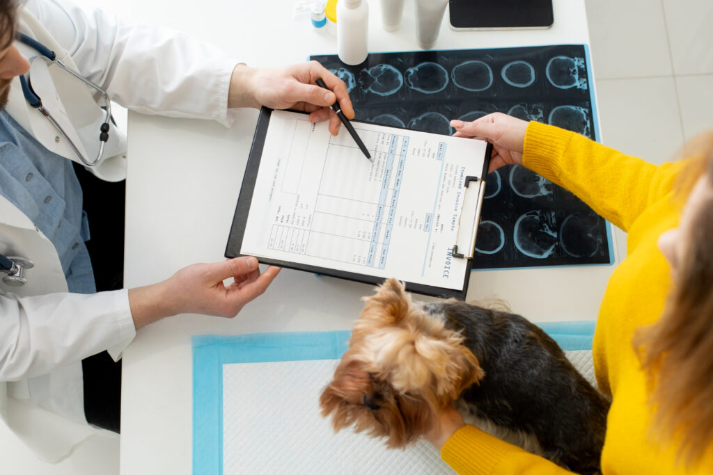 veterinarian explaining dog’s X-ray to concerned pet parent