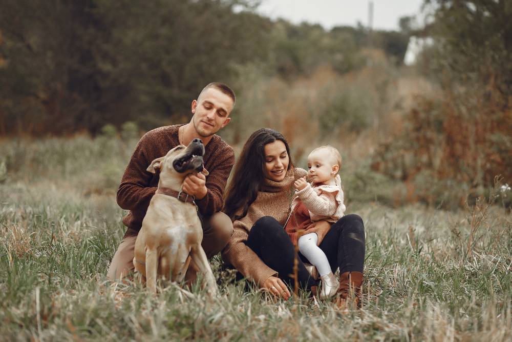 Happy pet with owner symbolizing protection and savings through essential pet insurance in 2025"
