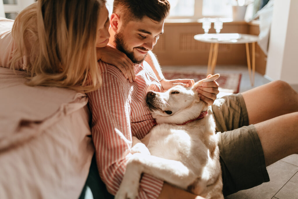 "Pet parent filling out pet insurance claim form online in 2025"