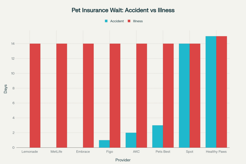 puppy at vet clinic – early insurance for dogs

