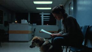 "Pet owner at emergency veterinary clinic receiving expensive treatment estimate while worried about costs"